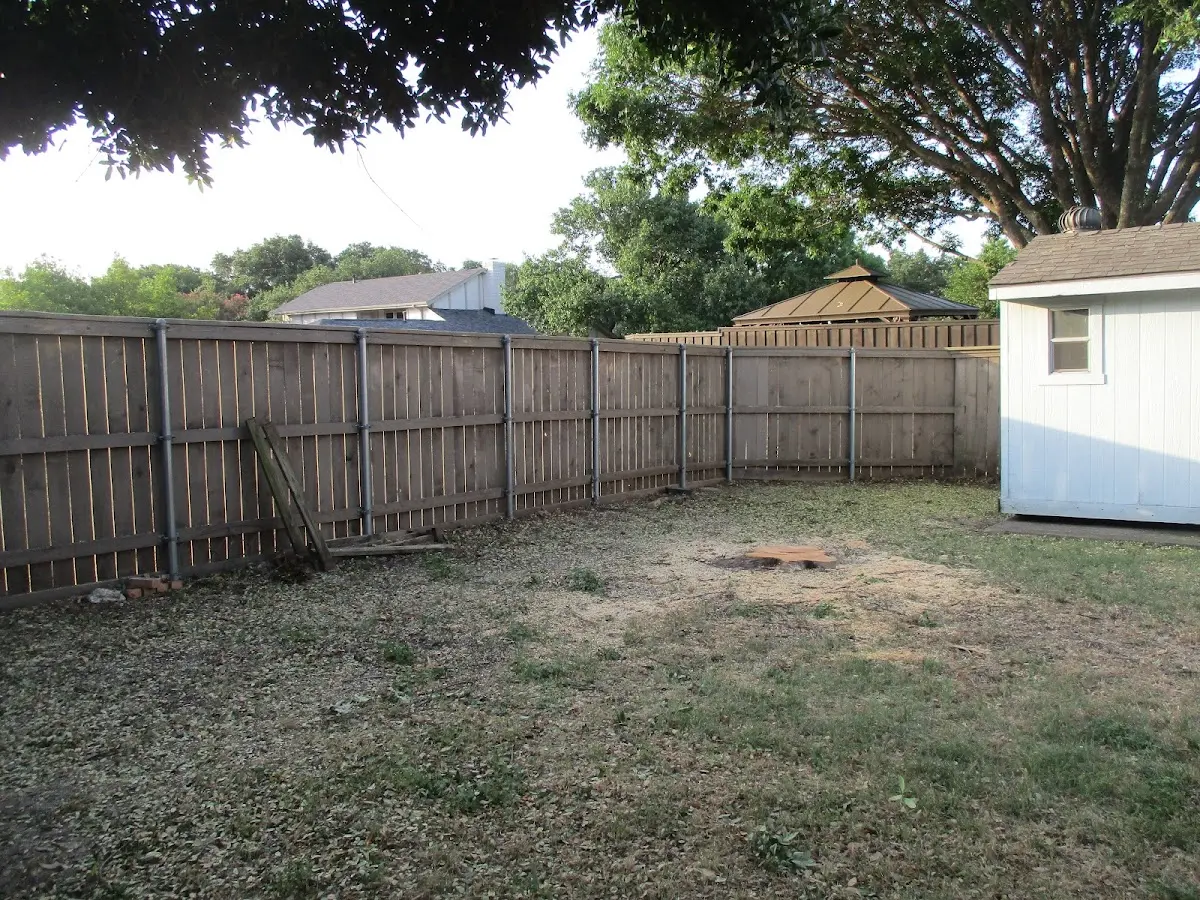 Cleared yard after professional tree removal in Pella
