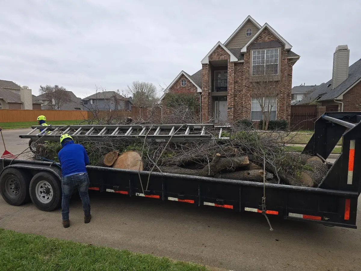 Expert Deadwooding with proper safety equipment in Pella